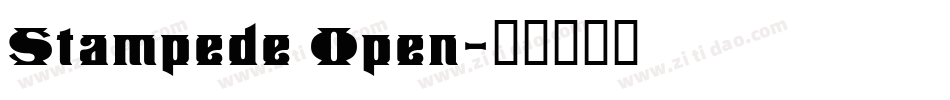 Stampede Open字体转换